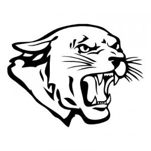 300x300 Angry Cat Face, Vinyl Sticker, Stickers