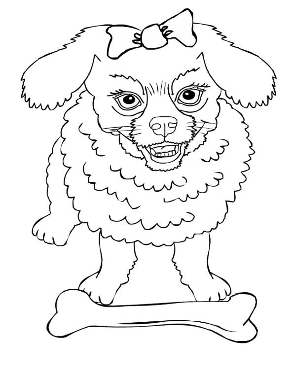 600x761 Angry Dog Protecting Its Bone Coloring Page