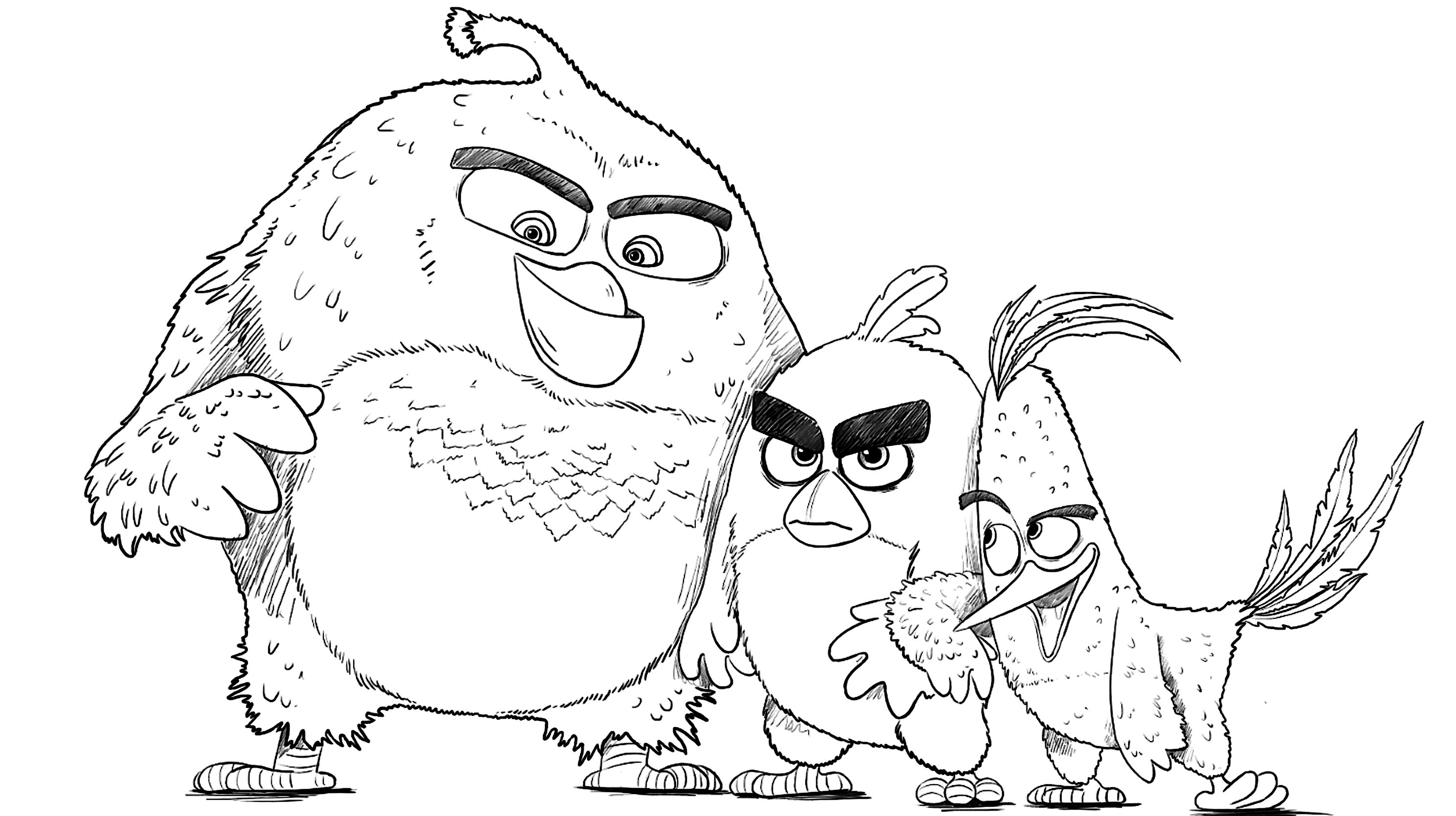 2976x1668 Drawing Pictures Of Angry Birds How To Draw Angry Birds Poster
