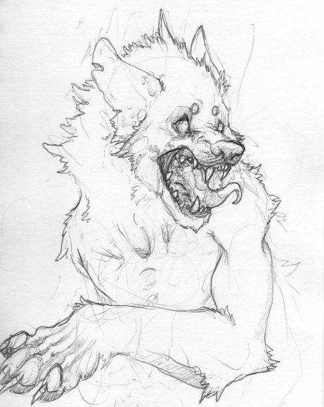 459x576 Angry Wolf By Slaggot