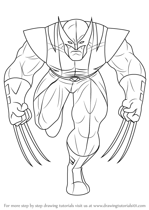 599x845 Learn How To Draw An Angry Wolverine (Wolverine) Step By Step