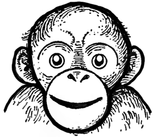 300x269 How To Draw Cartoon Monkeys, Apes, Gorillas, And Chimps Drawing