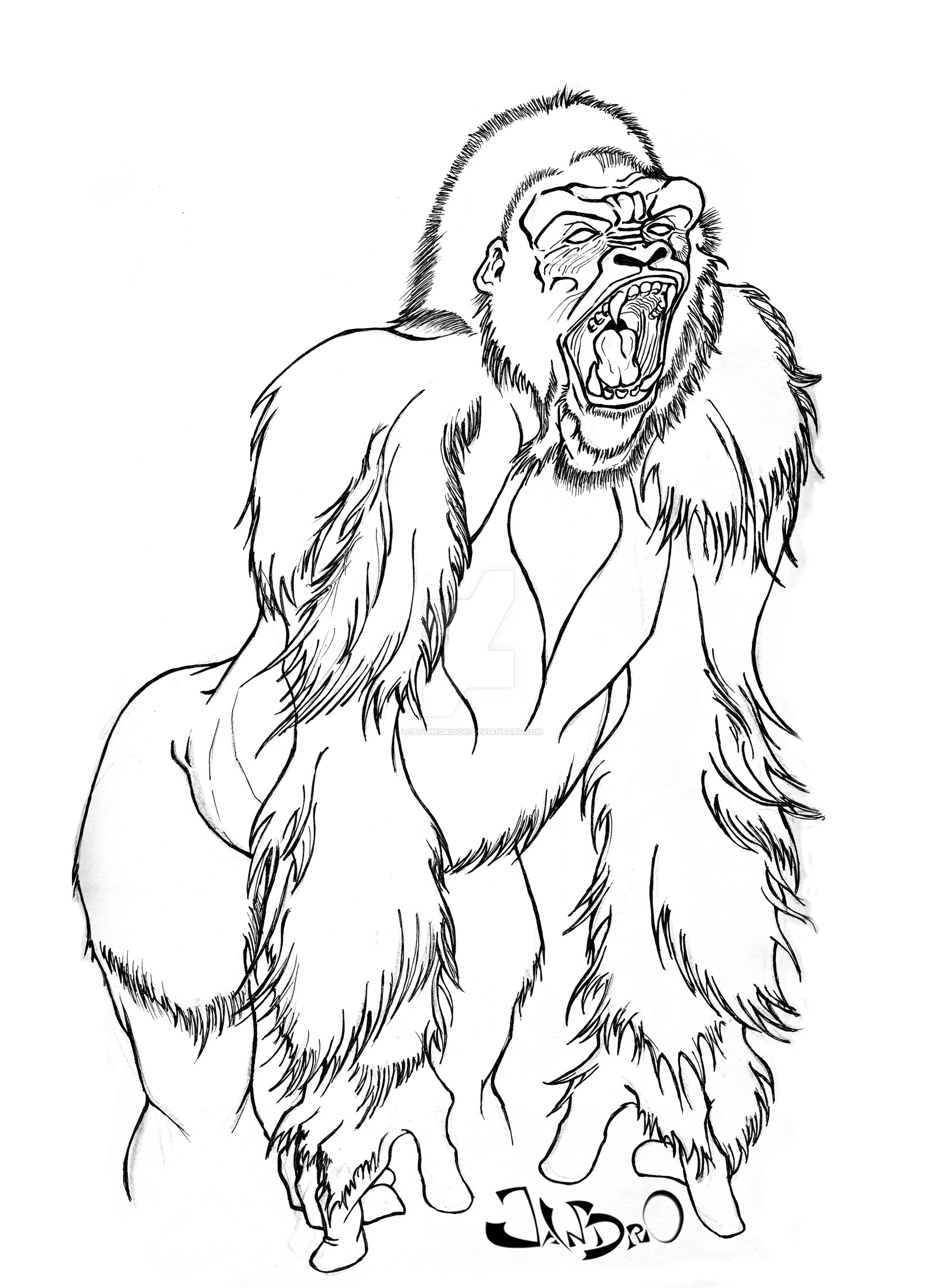 1600x2199 Sketch Gorilla By Lobothegrigori