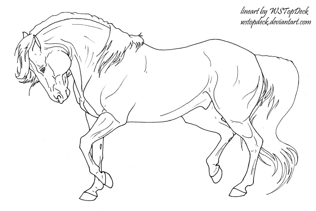 1024x683 Angry Prance Lines Free Use By Wstopdeck