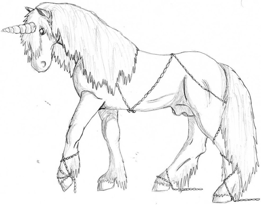 900x709 Unicorn By Angry Wolf For Life