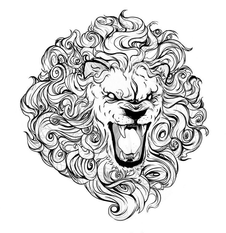 Angry Lion Drawing