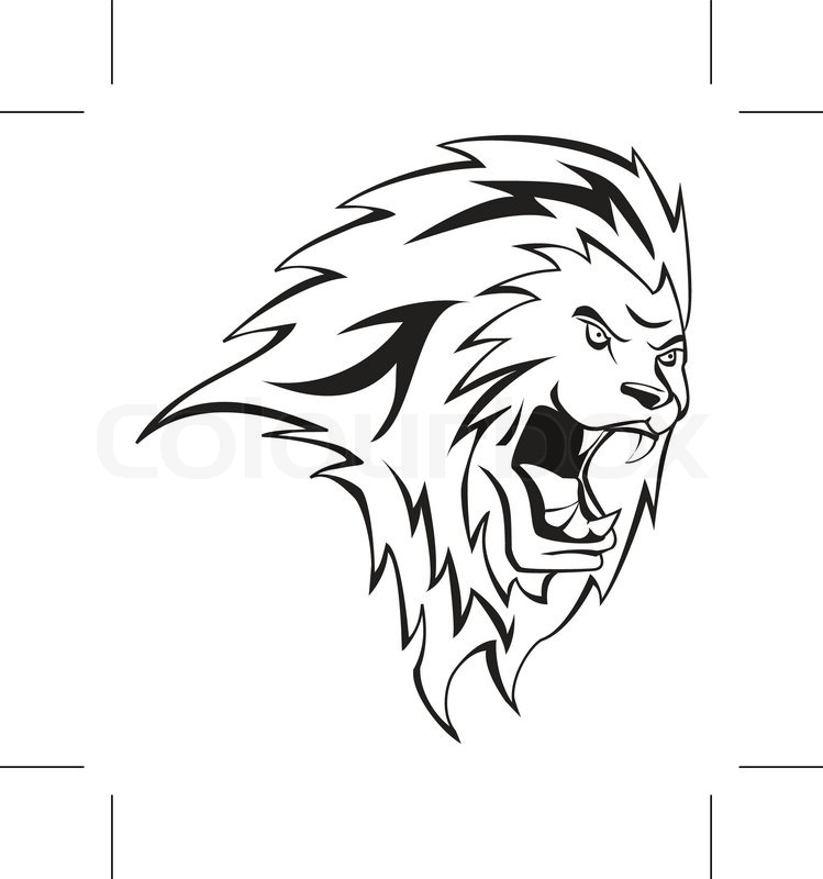 749x800 Lion Head Stock Vector Colourbox