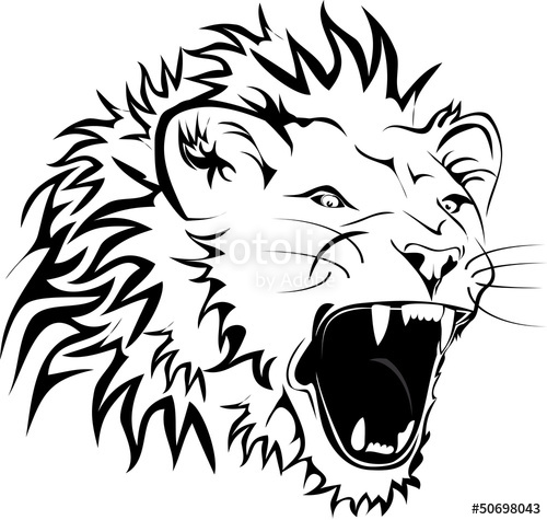 500x475 Angry Lion Stock Image And Royalty Free Vector Files On Fotolia