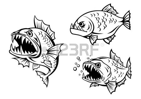 450x318 Outlined Angry Dangerous Piranha Fishes With Open Mouths, Sharp
