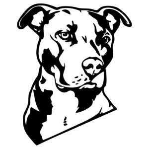 300x300 I Do Love My Pittie! Pitbull Pictures With Sayings Love My