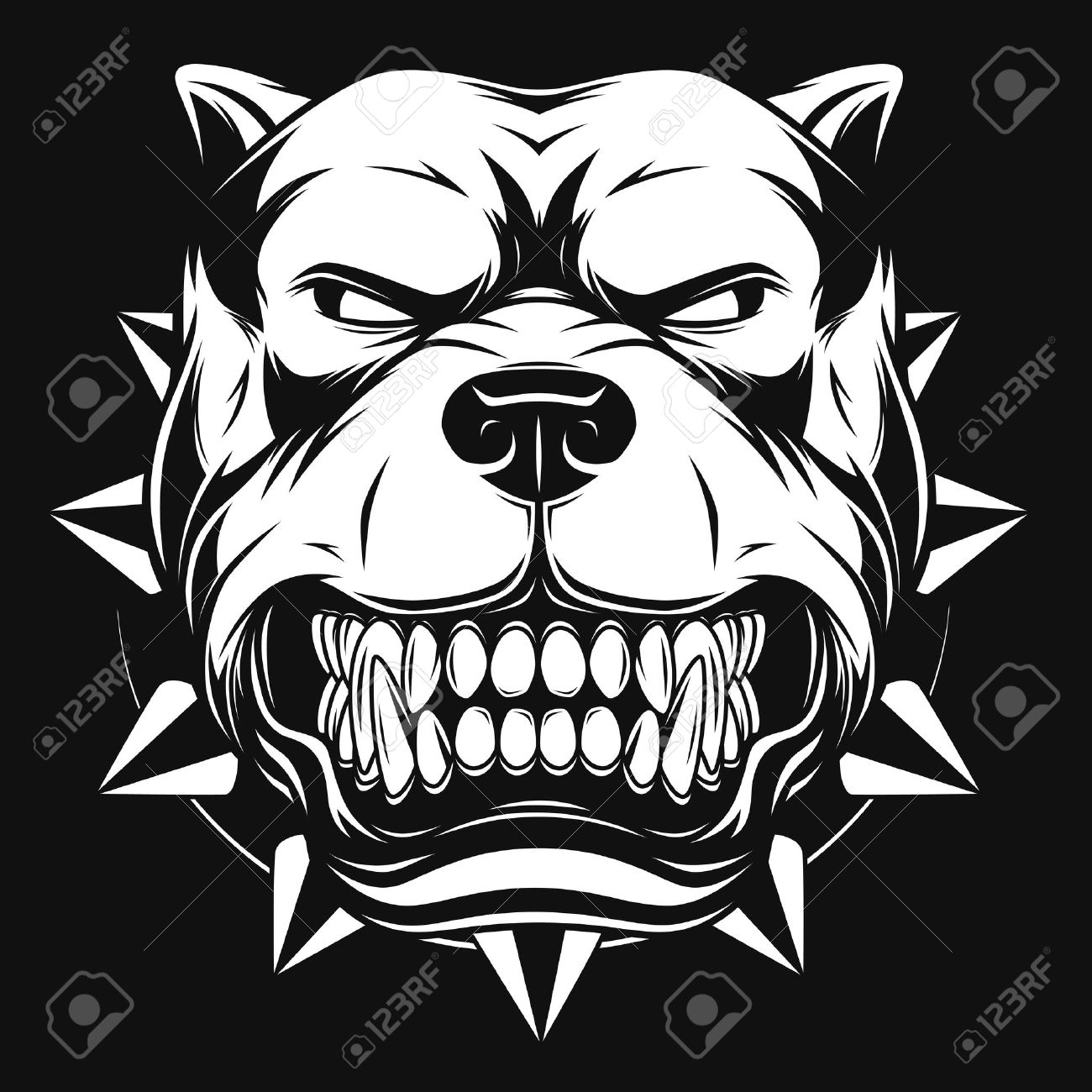 1300x1300 Vector Illustration Angry Pitbull Mascot Head, On A White