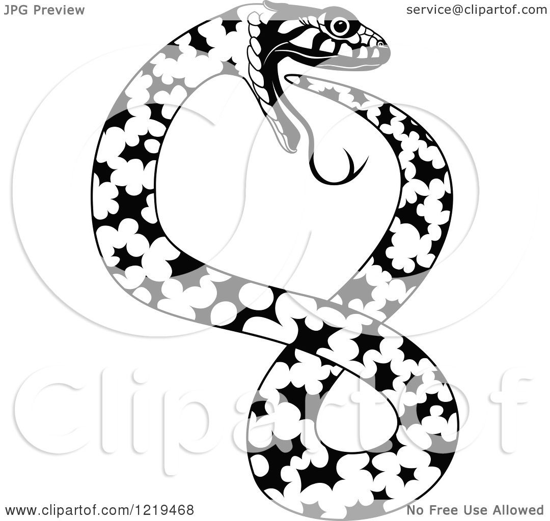 1080x1024 Clipart Of A Black And White Angry Snake Forming An 8