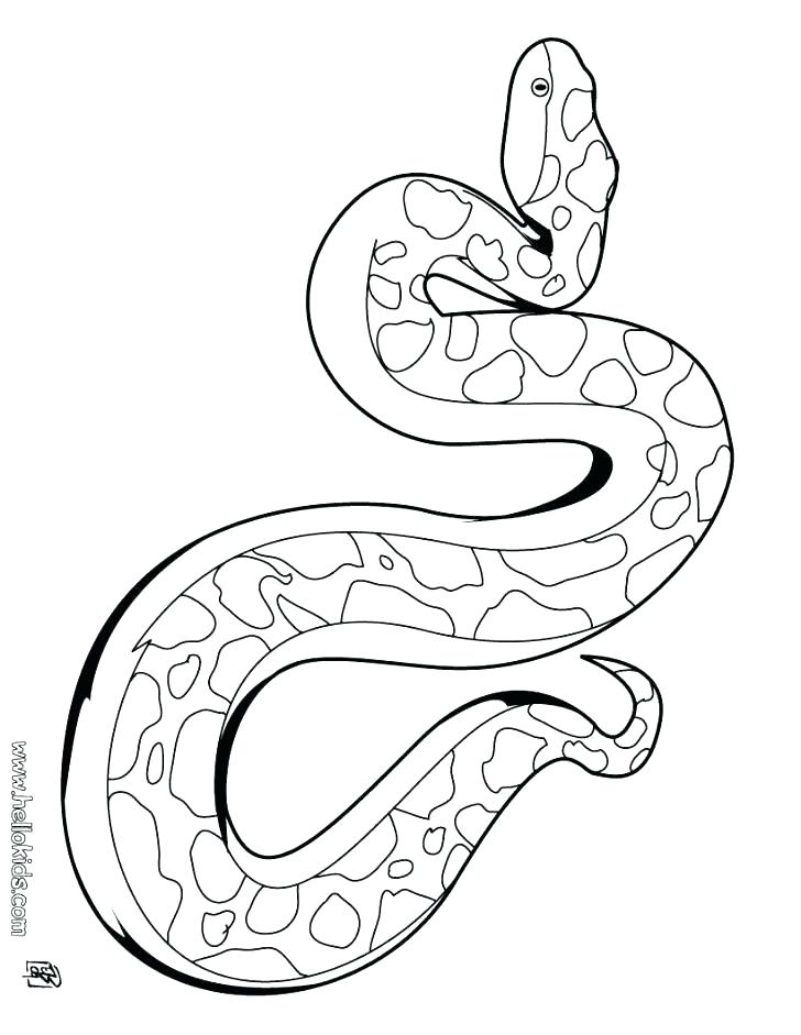 728x941 King Cobra Coloring Pages