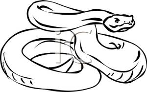 300x188 Of An Angry Snake