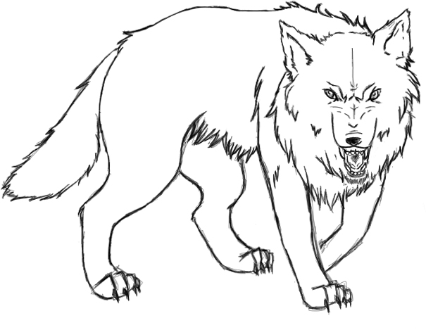 605x469 Angry Wolf . By Figielek
