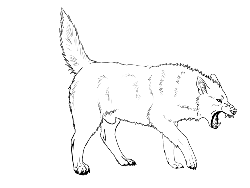 1000x752 Wolf Lineart 001 By Angry Wolf For Life