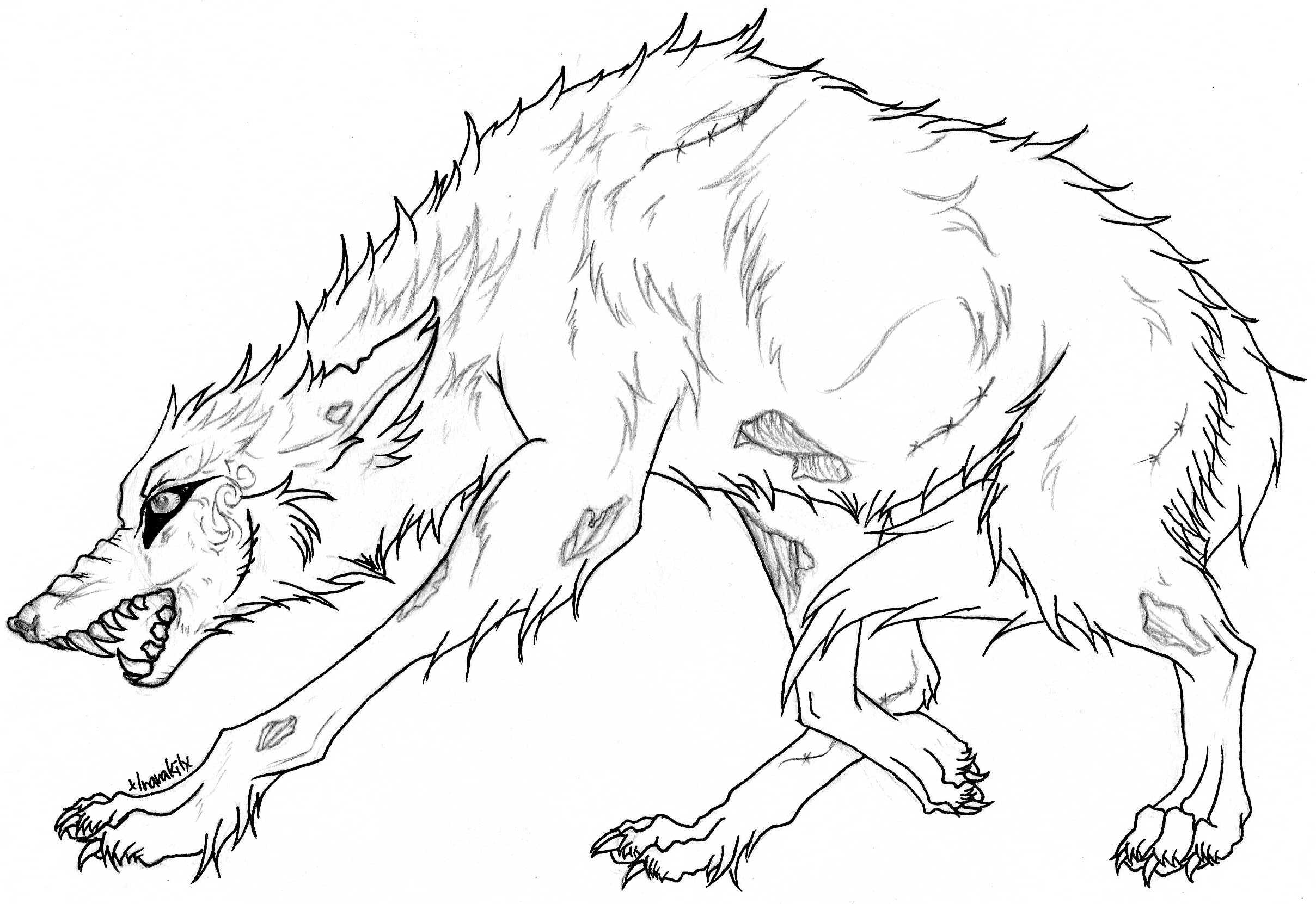 2417x1662 Best Angry Wolf Coloring Pages Free 2228 Printable