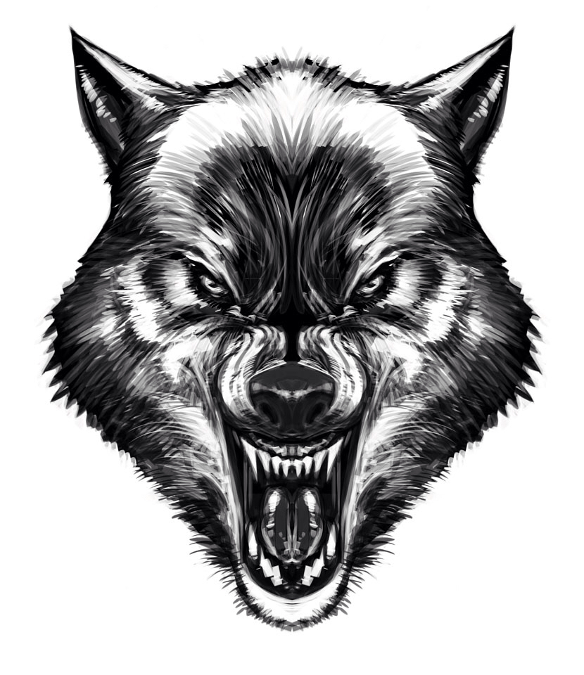 830x960 Pin By Home And Wild On Wolves Wolf, Tattoo And Drawings
