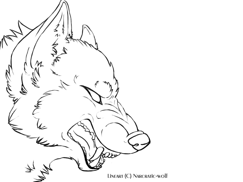 800x600 Angry Wolf Face Outline