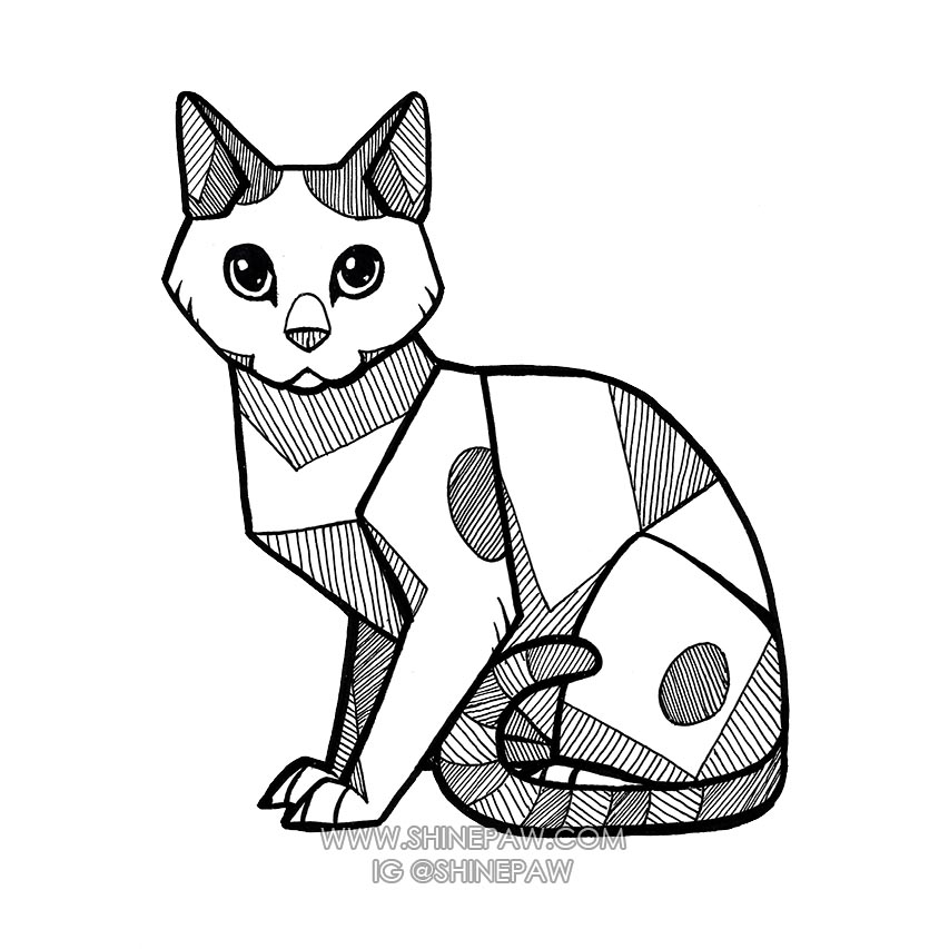 853x853 Angular Kitty