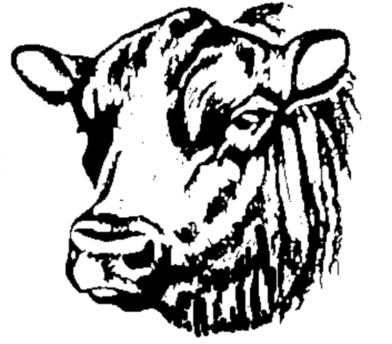 800x703 Logos And Motifs Library Dp Jones Amp Co Bronze Plaque