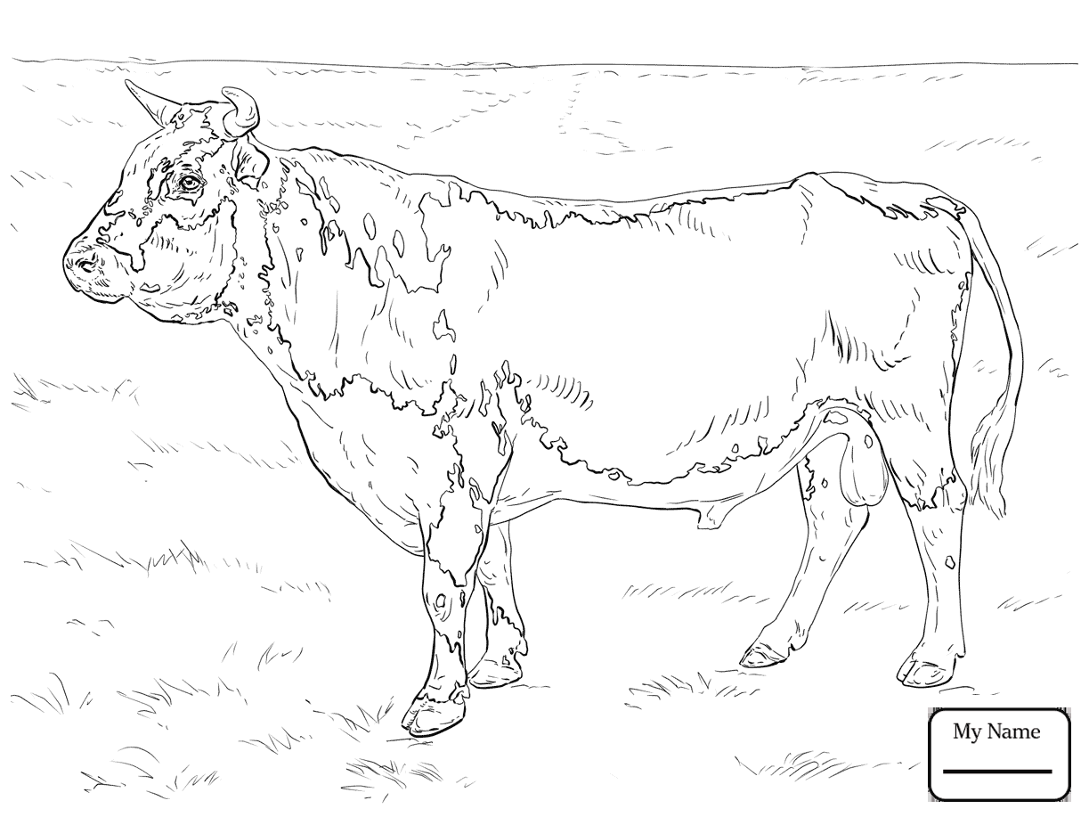 1223x917 Cattle Cow 21 Mammals Coloring Pages For Kids