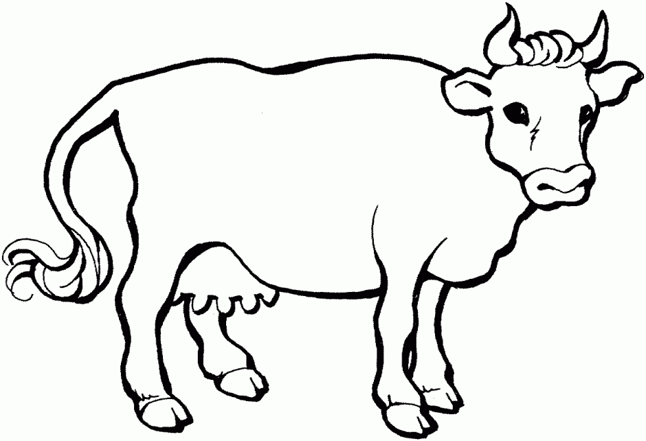 940x642 Angus Cattle Coloring Pages Colouring For Sweet Page Photo Bull