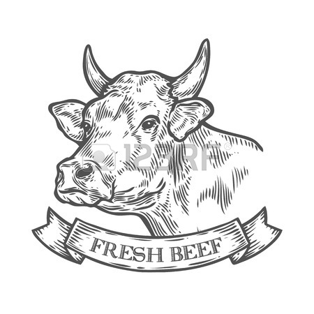 450x450 Cows Nose Stock Photos. Royalty Free Business Images