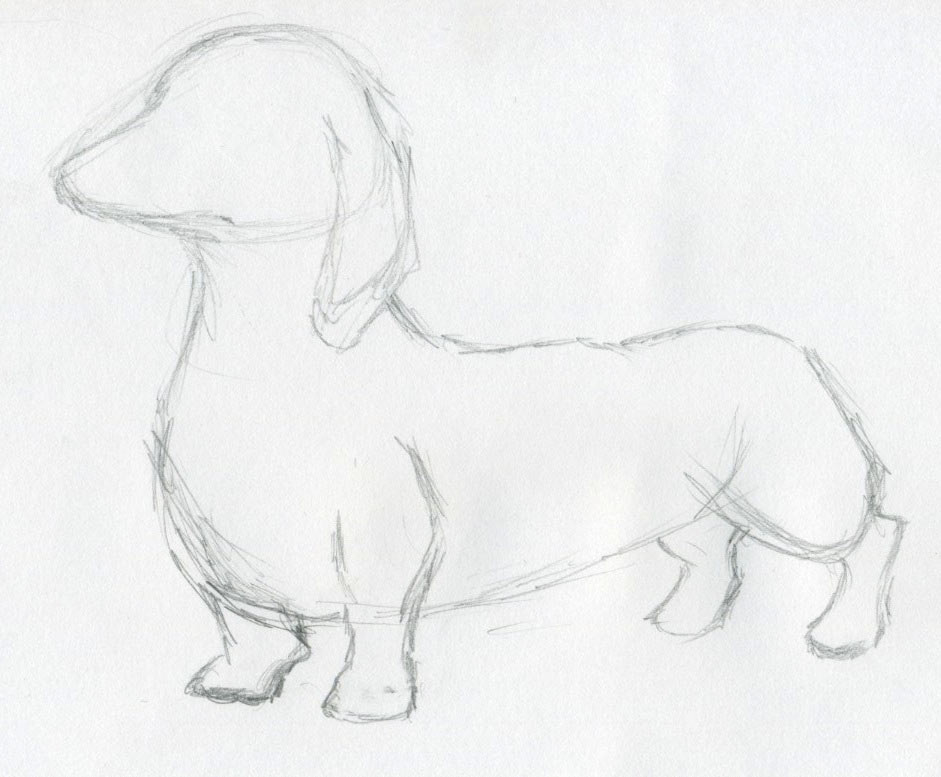 941x777 Dog Sketches For Inspiration