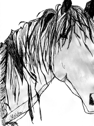 400x535 Horse Art And Animal Art Of Carol A. Watson