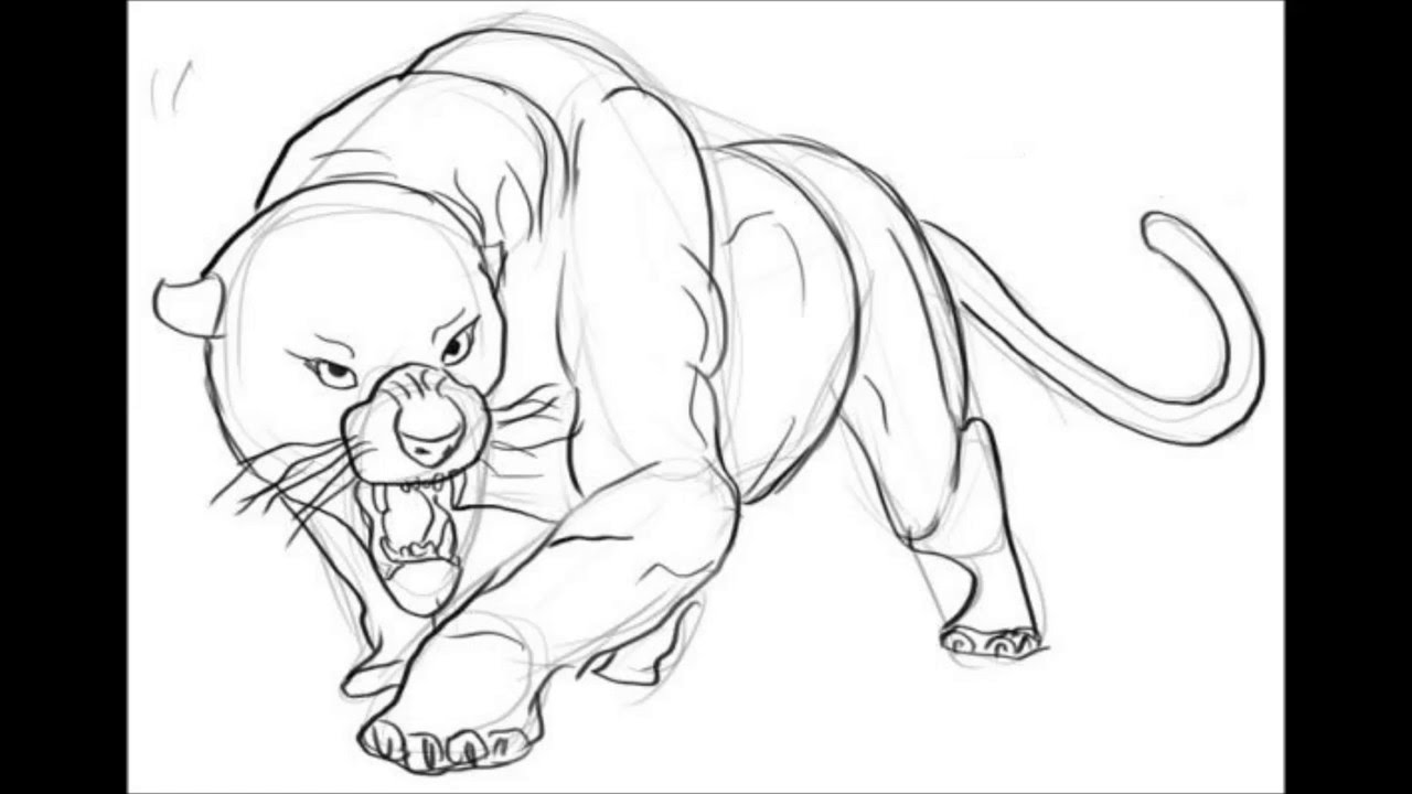 1280x720 How To Draw A Panther