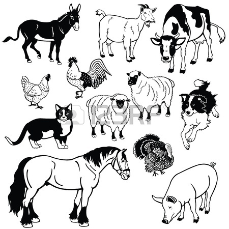450x450 Set Of Cute Cartoon Farm Animals. Vector Illustration Royalty Free