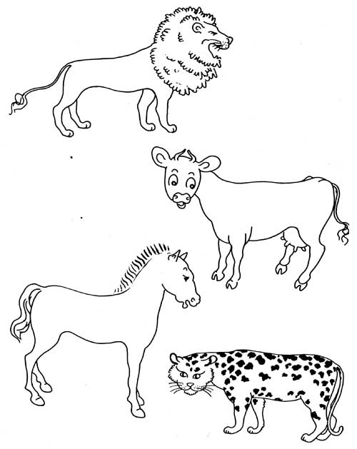 500x629 How To Draw Cartoon Animals