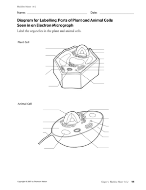 298x386 Fillable Online Diagram For Labelling Parts Of Plant And Animal