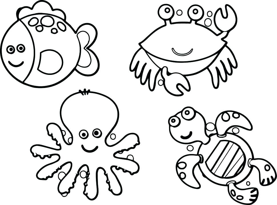 970x720 Stunning Key Coloring Page Best Of Animal Cell Answers Plus Sheet