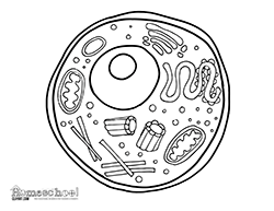 250x193 Free Science Themed Coloring Pages, Featuring Simple Black