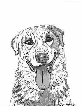 270x350 Ania M Milo Artwork Collection Pet Portrait Drawings Amp Sketches