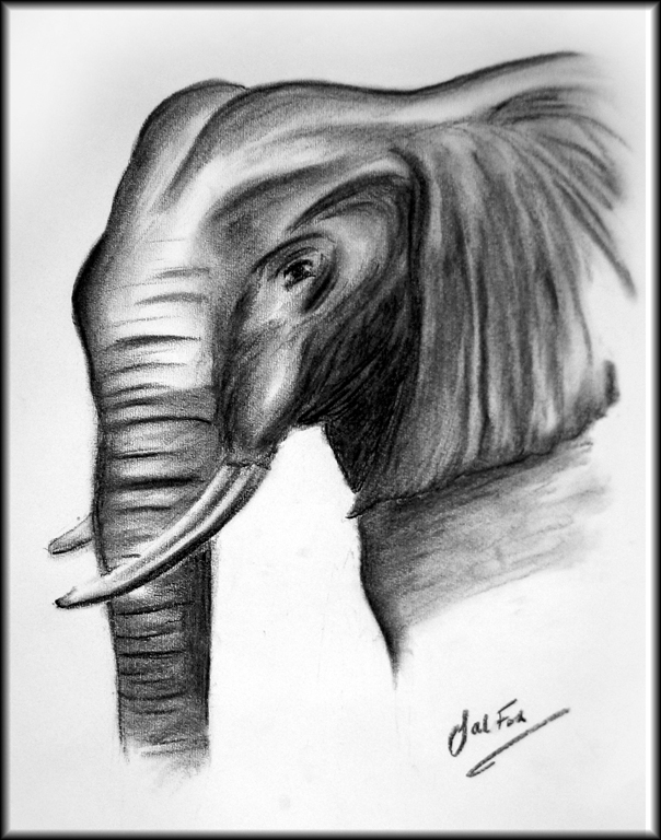 Animal Charcoal Drawing at GetDrawings | Free download