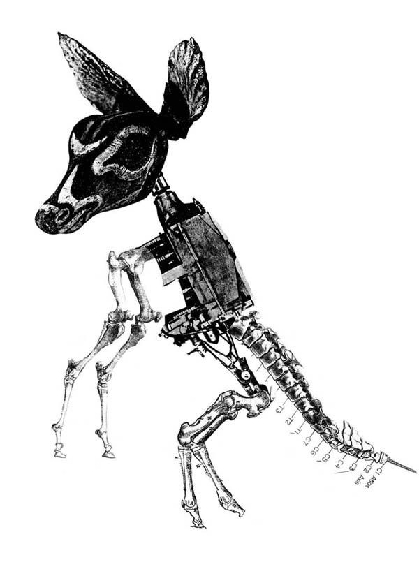 Animal Collage Drawing