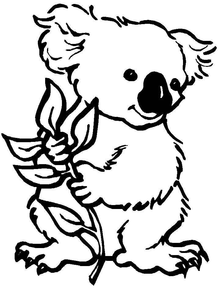 718x957 Koala Colouring In Image