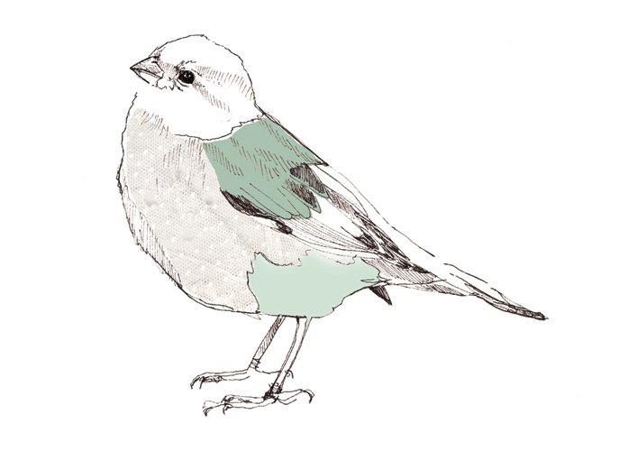 697x500 Maartje Van Den Noort