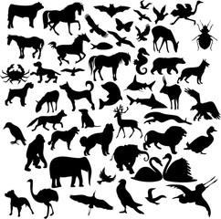 242x240 Search Photos By M.i.g.u.e.l.