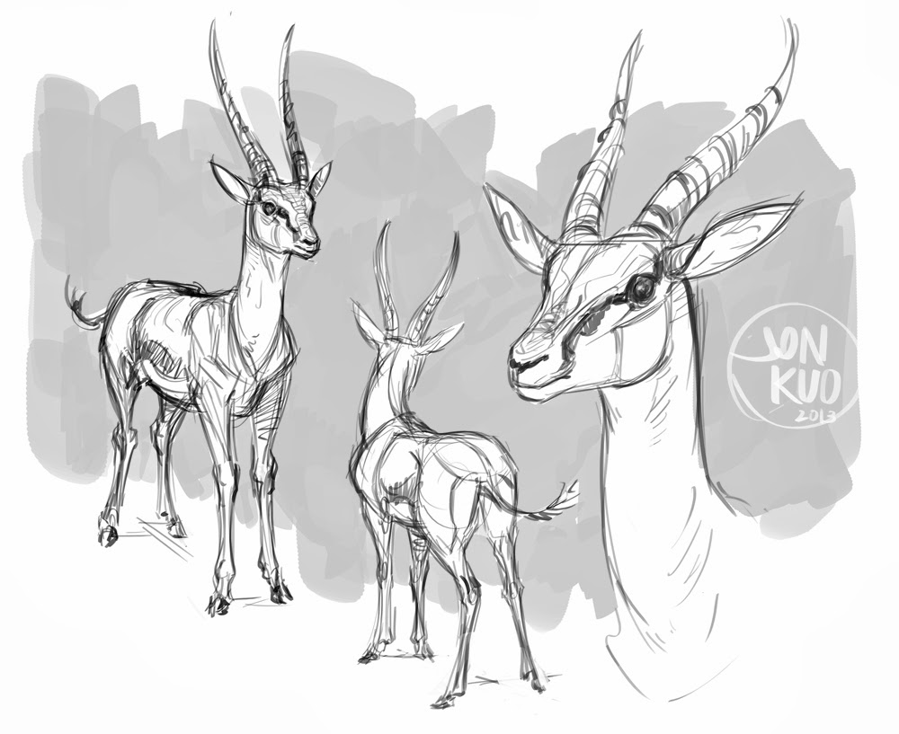 1000x817 Animal Art And Demos Gazelle Studies Dibujo