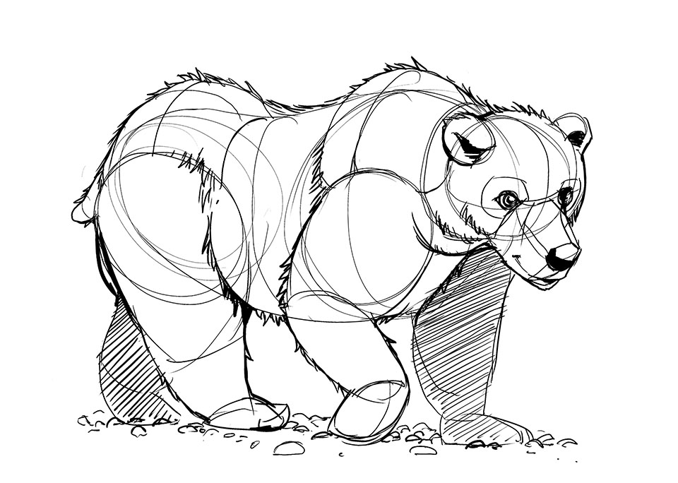 960x684 Lesson 5 Drawing Animals