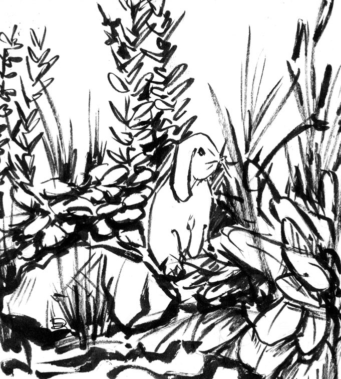 681x756 Summer Voelker