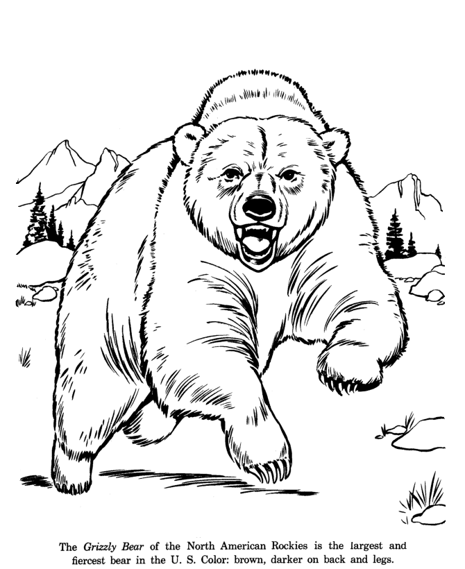 670x820 Animal Drawings Coloring Pages Grizzly Bear Animal