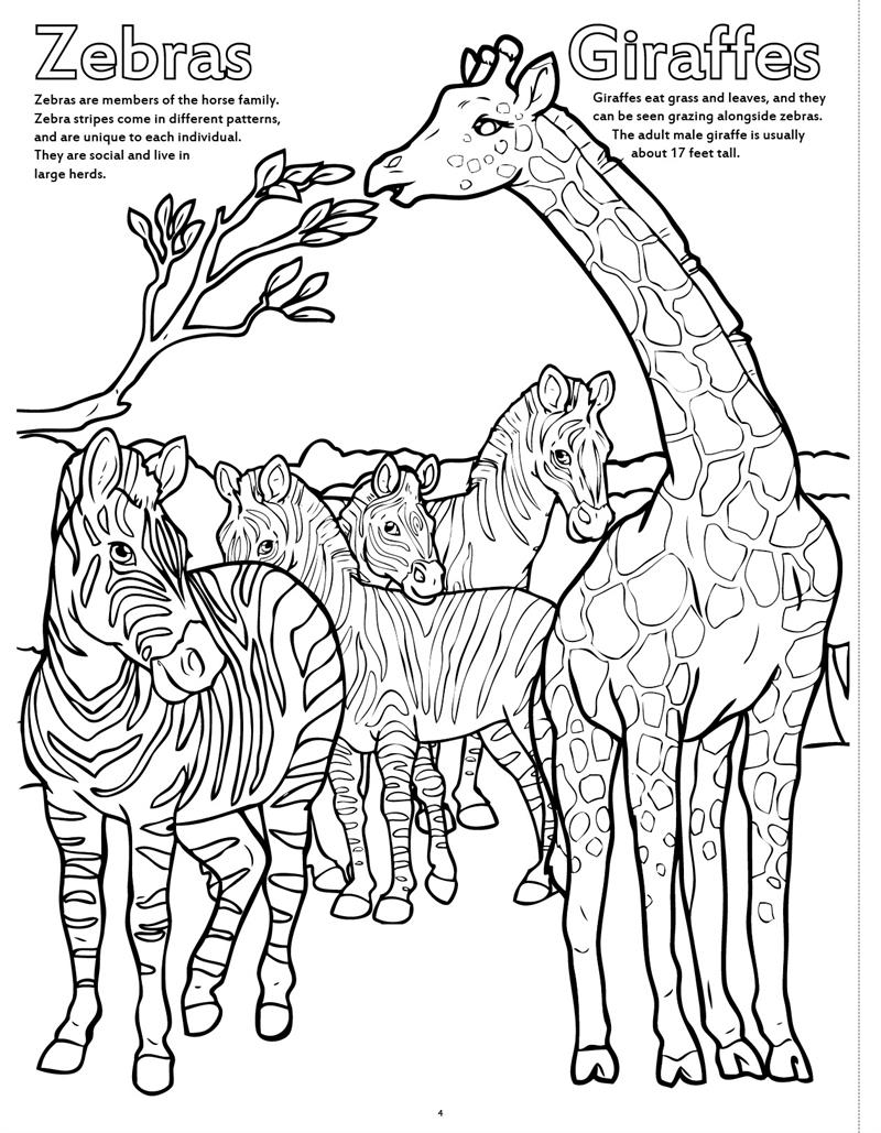 800x1029 Coloring Books Zoo Animals Really Big Coloring Book