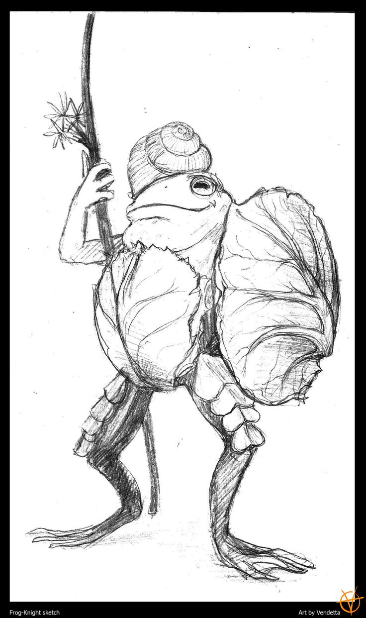 736x1242 218 Best Animals Amphibians Images On Frogs