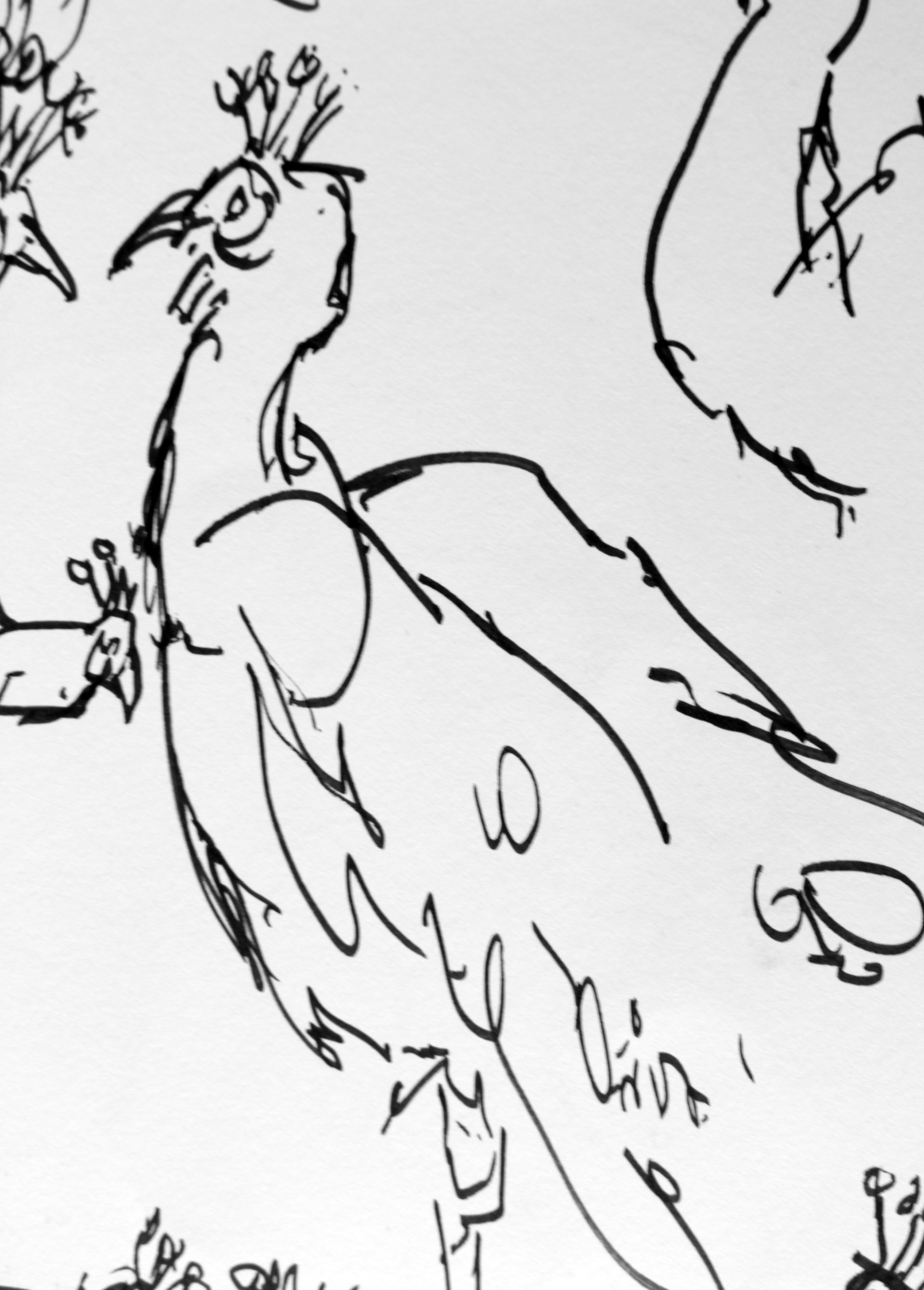 3456x4824 Animal Drawing