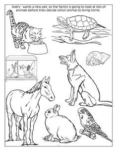 236x304 Animals Cubs Related Keywords Amp Suggestions